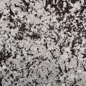 Splendor White Granite
